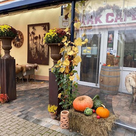 Ferienwohnungen Park Cafe Am Kurpark Бернкастель-Кюс Екстер'єр фото